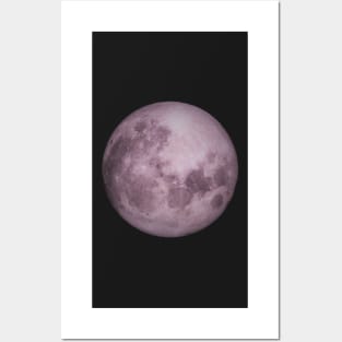 mauve pink purple full moon up close photo NASA Posters and Art